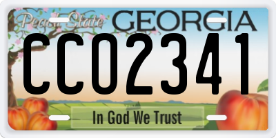 GA license plate CCO2341