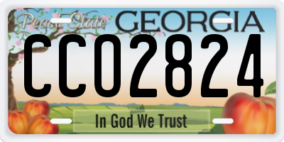 GA license plate CCO2824