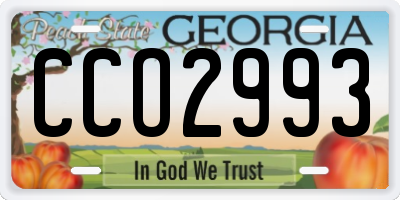 GA license plate CCO2993