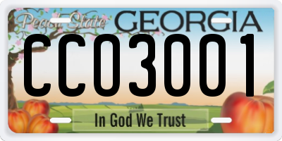 GA license plate CCO3001