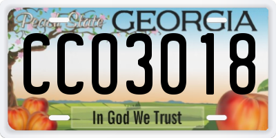 GA license plate CCO3018