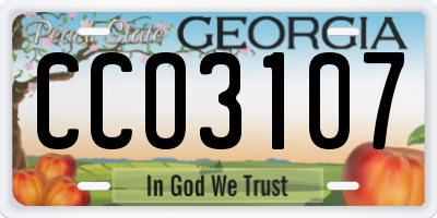 GA license plate CCO3107