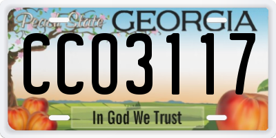 GA license plate CCO3117