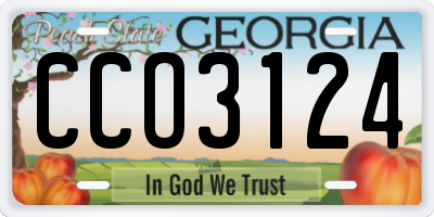 GA license plate CCO3124