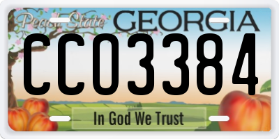 GA license plate CCO3384