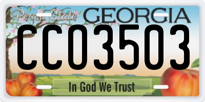 GA license plate CCO3503