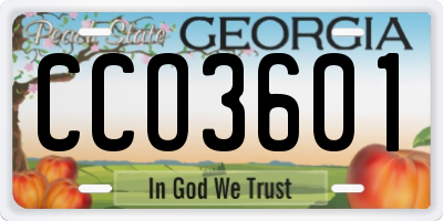 GA license plate CCO3601