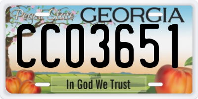 GA license plate CCO3651