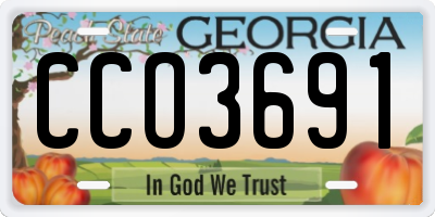 GA license plate CCO3691