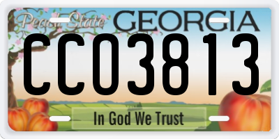 GA license plate CCO3813