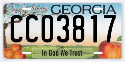 GA license plate CCO3817