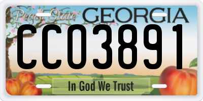 GA license plate CCO3891