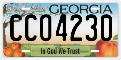 GA license plate CCO4230
