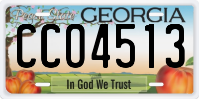 GA license plate CCO4513