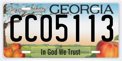 GA license plate CCO5113