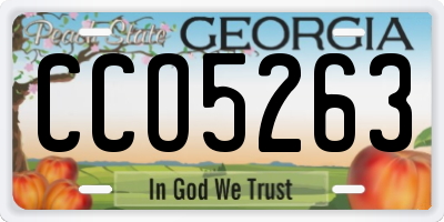 GA license plate CCO5263