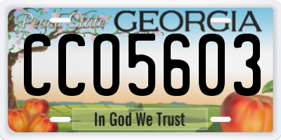 GA license plate CCO5603