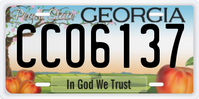 GA license plate CCO6137