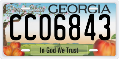 GA license plate CCO6843