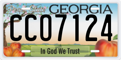 GA license plate CCO7124