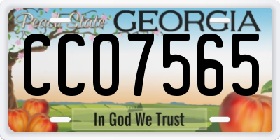 GA license plate CCO7565