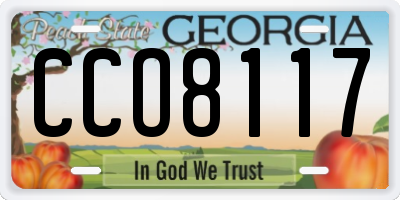 GA license plate CCO8117