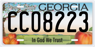GA license plate CCO8223