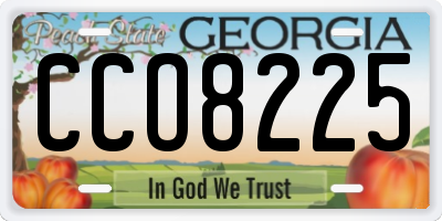 GA license plate CCO8225