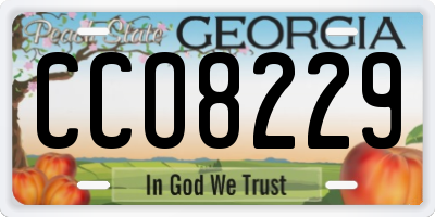 GA license plate CCO8229
