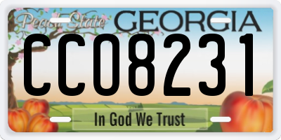 GA license plate CCO8231