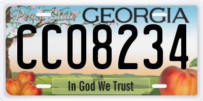 GA license plate CCO8234