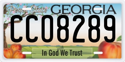 GA license plate CCO8289