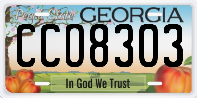 GA license plate CCO8303
