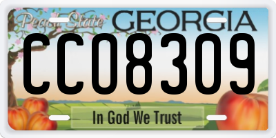 GA license plate CCO8309