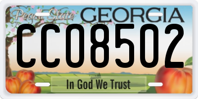 GA license plate CCO8502