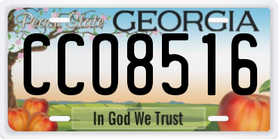 GA license plate CCO8516