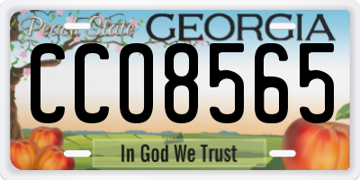 GA license plate CCO8565
