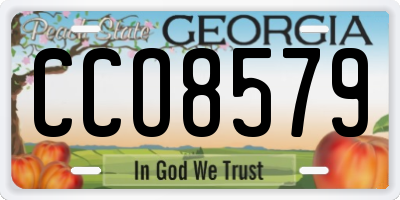 GA license plate CCO8579