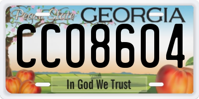 GA license plate CCO8604