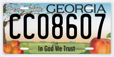 GA license plate CCO8607
