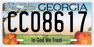 GA license plate CCO8617