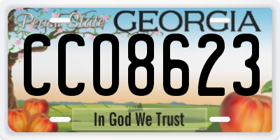 GA license plate CCO8623