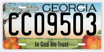 GA license plate CCO9503