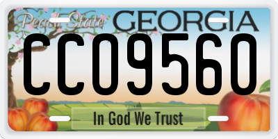 GA license plate CCO9560