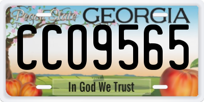 GA license plate CCO9565