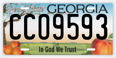 GA license plate CCO9593