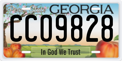 GA license plate CCO9828