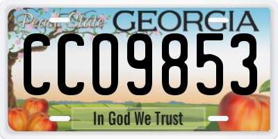 GA license plate CCO9853