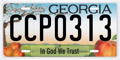 GA license plate CCP0313