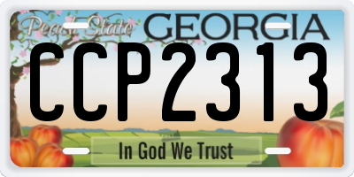 GA license plate CCP2313